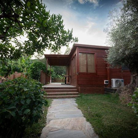 El Jardin Del Eden Orgiva Exterior foto
